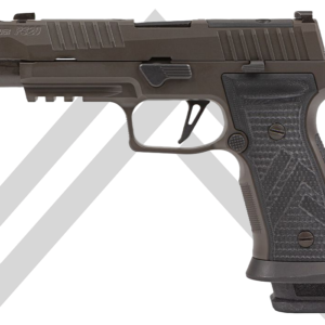 p320 axg legion